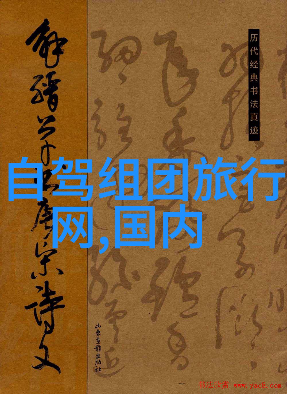 民族风情一窥中国各大民族文化节日盛况