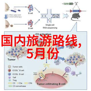 体育老师C的一堂课激发活力塑形未来