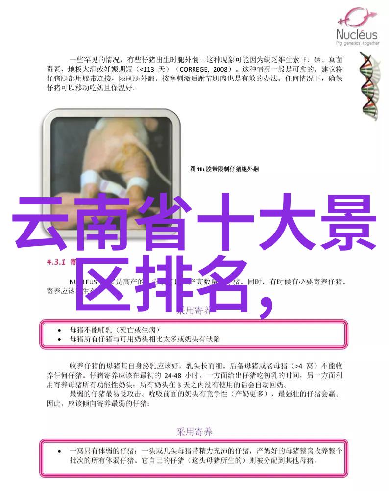 山地车入门 - 探索崎岖路线的乐趣初学者必备指南