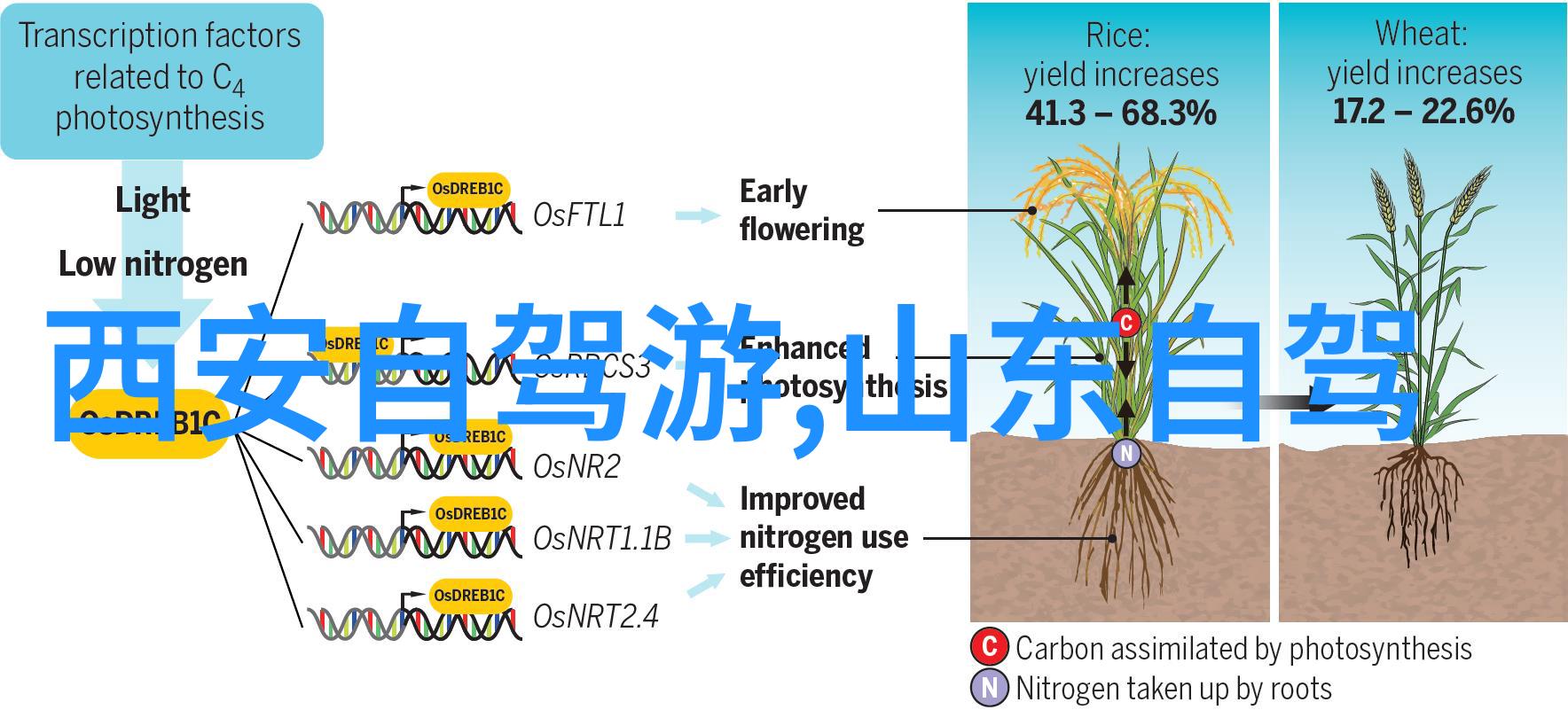 贵州哪里好玩的景点推荐 - 贵州探秘隐世美丽与壮阔风光