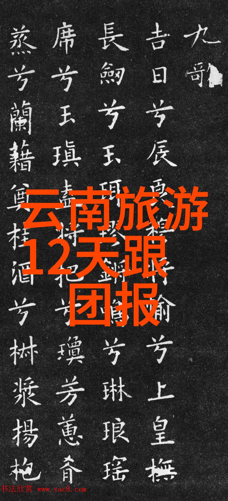 光与影的交响曲