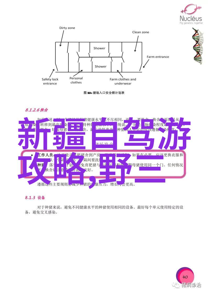 上班骑行选择山地车还是公路车城市出行解决方案