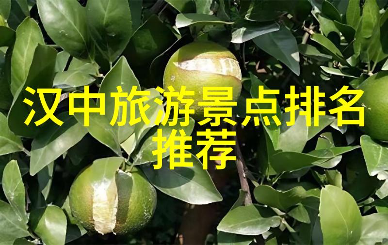 西安旅游攻略 - 西安古都探秘历史遗迹与现代魅力同赏