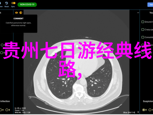 儿童拓展训练项目丰富多彩探索未知的世界与自我成长