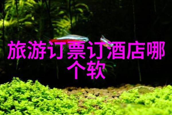 探索-徐霞客漫游记揭秘明末名将的山水游历