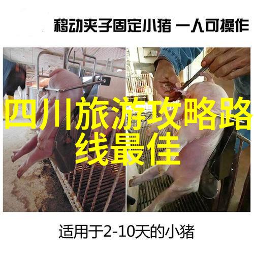 青岛自驾游攻略如何规划一次完美的海滨之旅