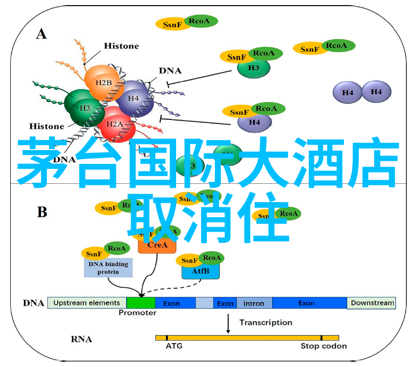 扬州美食文化之都一站式住宿攻略