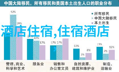 星空下的宁静夜晚中国顶级天文观测点探索