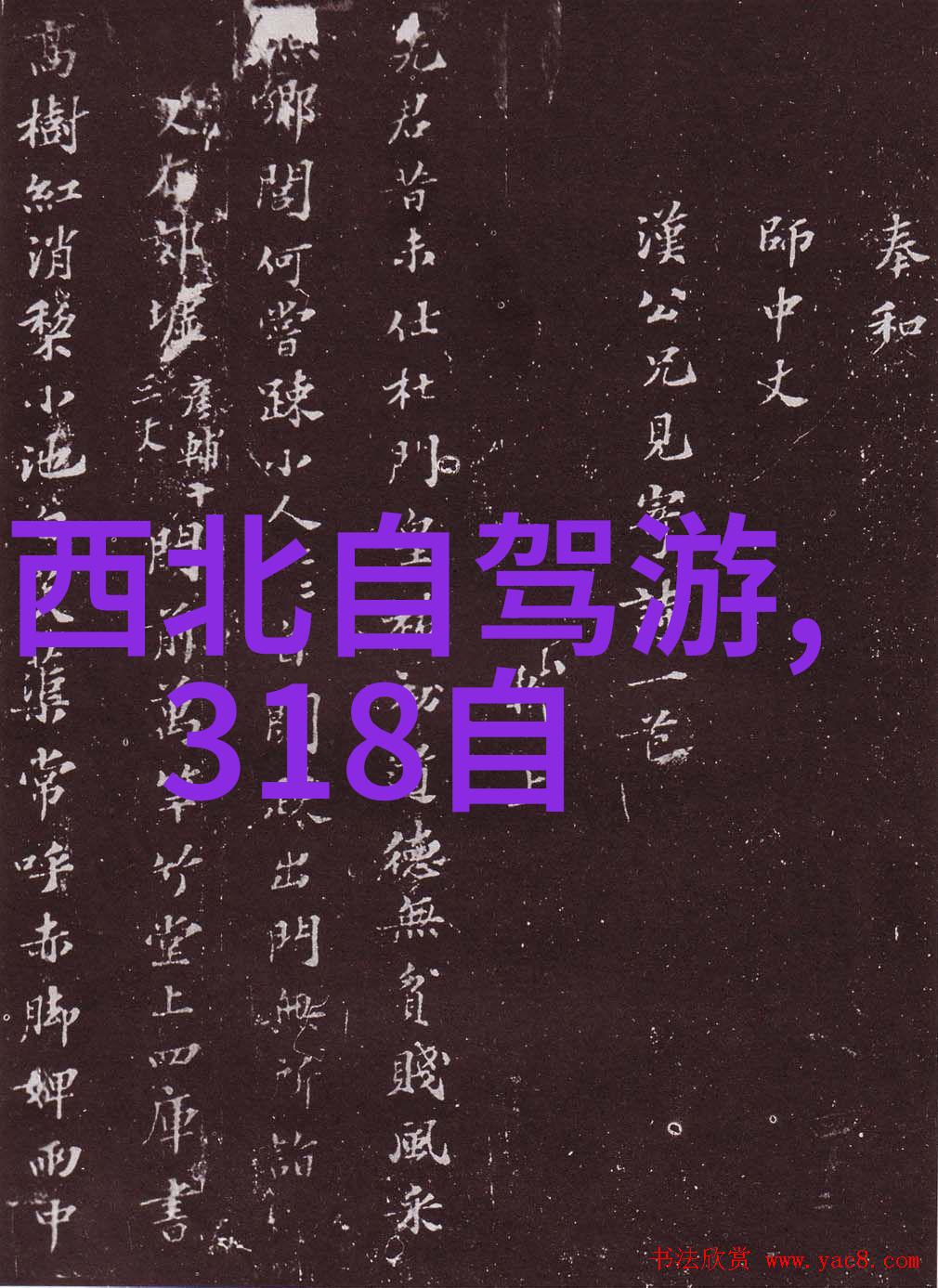 成人户外活动策划搞定这次野餐聚会的趣事