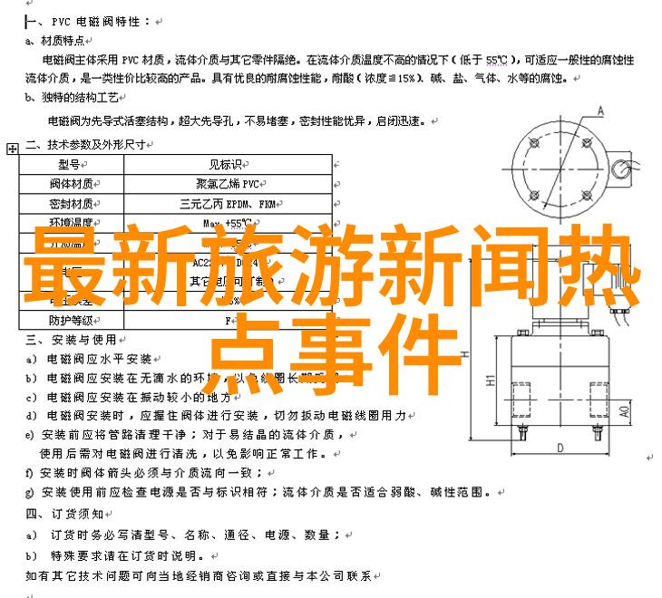 品味文化融合解析现代化改良下的正宗南京街头食品