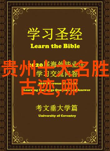 夏日阳光下的团队激情室外小游戏盛宴