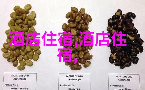 台湾美食攻略我在台北的吃遍天从小吃到大碗的一路品味