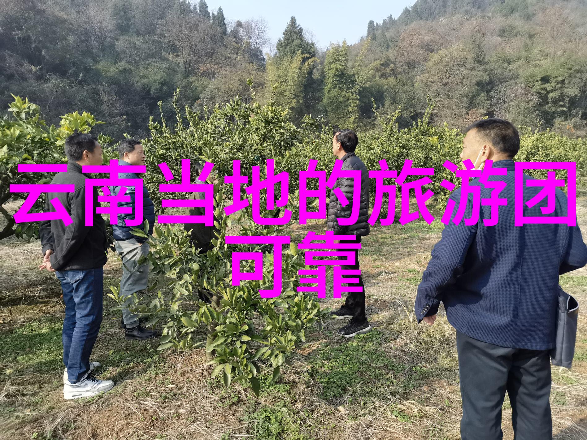 济宁旅游景点推荐-探索山水情怀济宁市内不可错过的10大旅游胜地