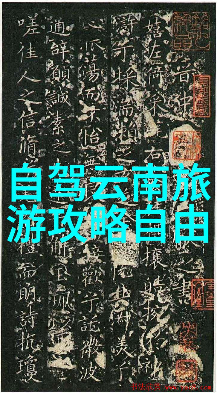 十一自驾游最佳路线你知道奥林匹克丛林公园门票是预约还是现场