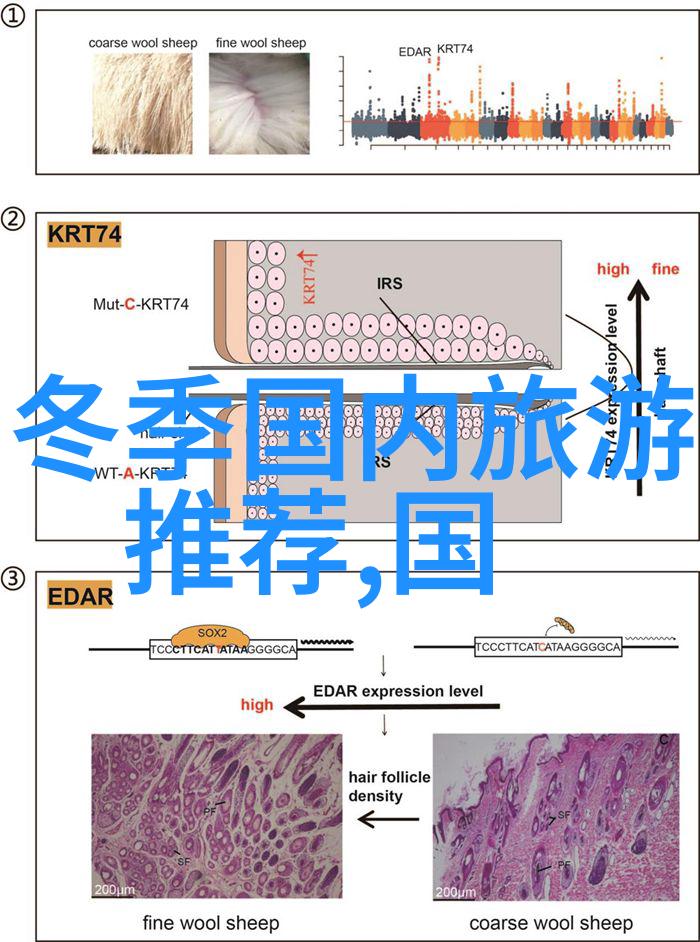 企业员工户外拓展活动总结增强团队协作与个人素质的旅程