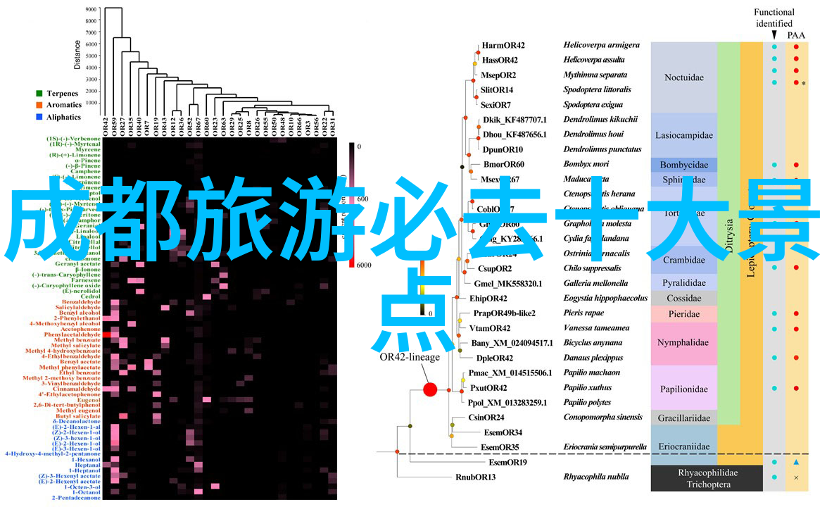 创新思维大胆尝试通过艺术表演提升企业文化氛围