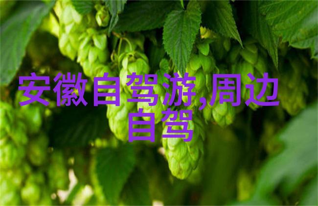 两天游探秘轻松体验城市魅力与自然风光