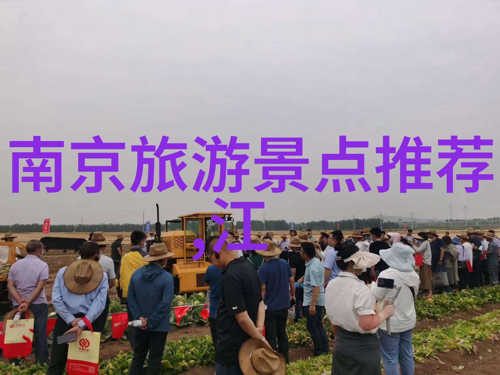 除了名菜之外有没有听说过那些隐藏在角落里的街头巷尾美食它们值得我们去发现和品尝那么这些隐藏宝藏又是什