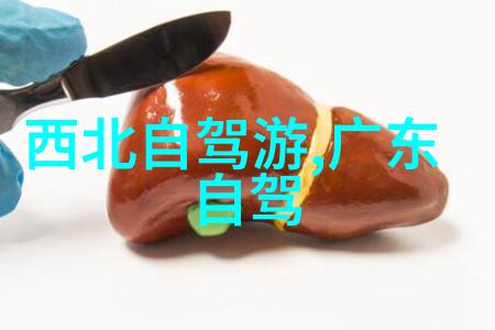 保定之谜揭秘那些隐藏的味道