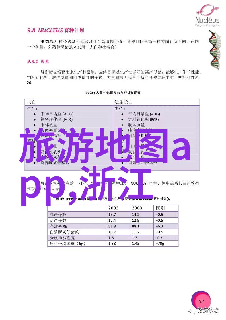 骑行群真的很乱吗-城市道路上的骑行群体秩序与混乱的双重性