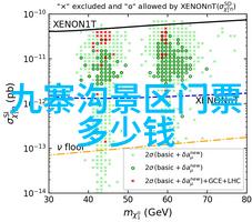 夏日户外团建共襄盛举增进友谊