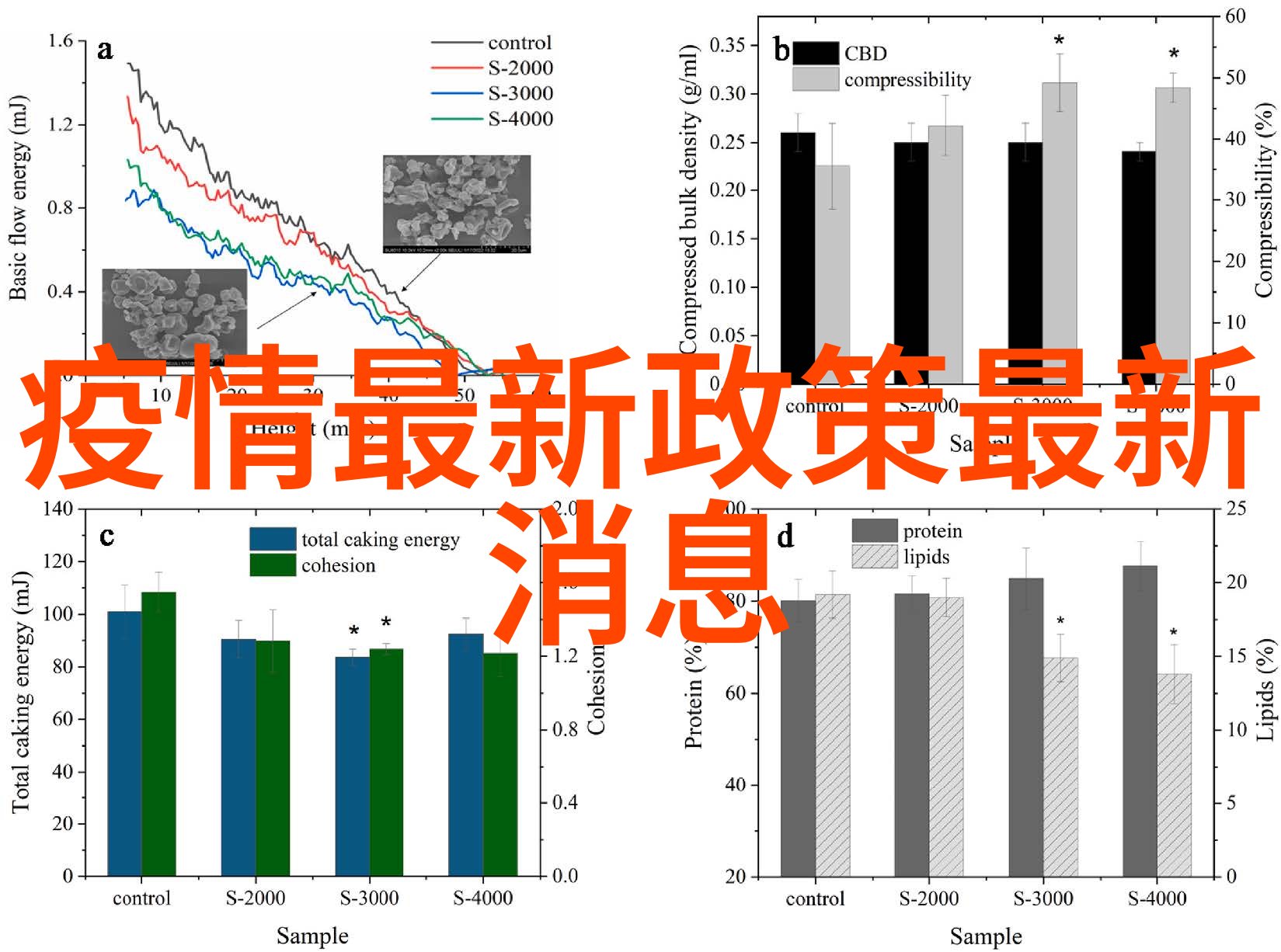 南疆一月最佳旅行景点推荐探索冬日人间天堂