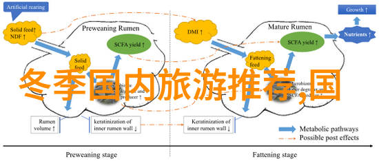 沉醉于古韵沈席玉宋妧小说免费阅读探秘