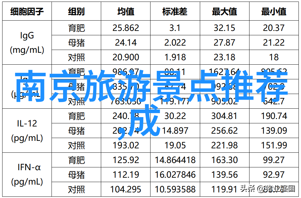 5种新型旅游方式-探索未知体验未来旅行的五大创新之旅