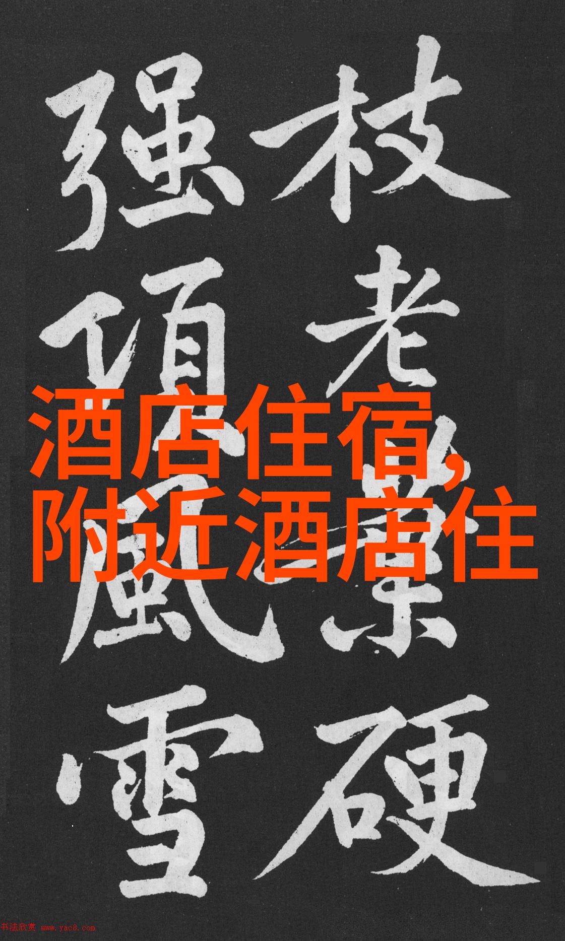 极速骑行4在哪免费下你了解场地自行车赛道吗  极速骑行4的秘密你知道吗场地自行车赛道速度与激情的舞台