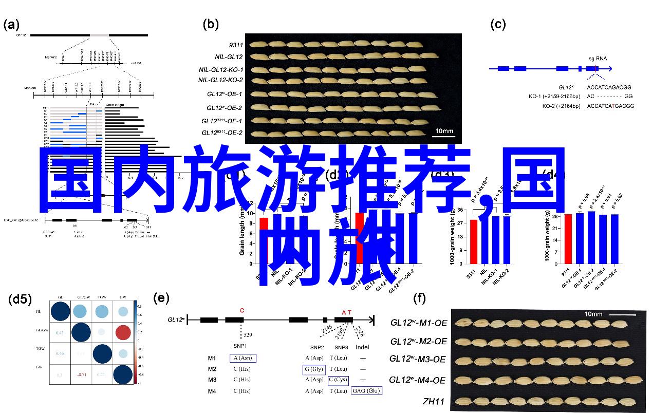 市民们青岛疾控中心发布最新消息接种新一代疫苗后需要注意什么信息