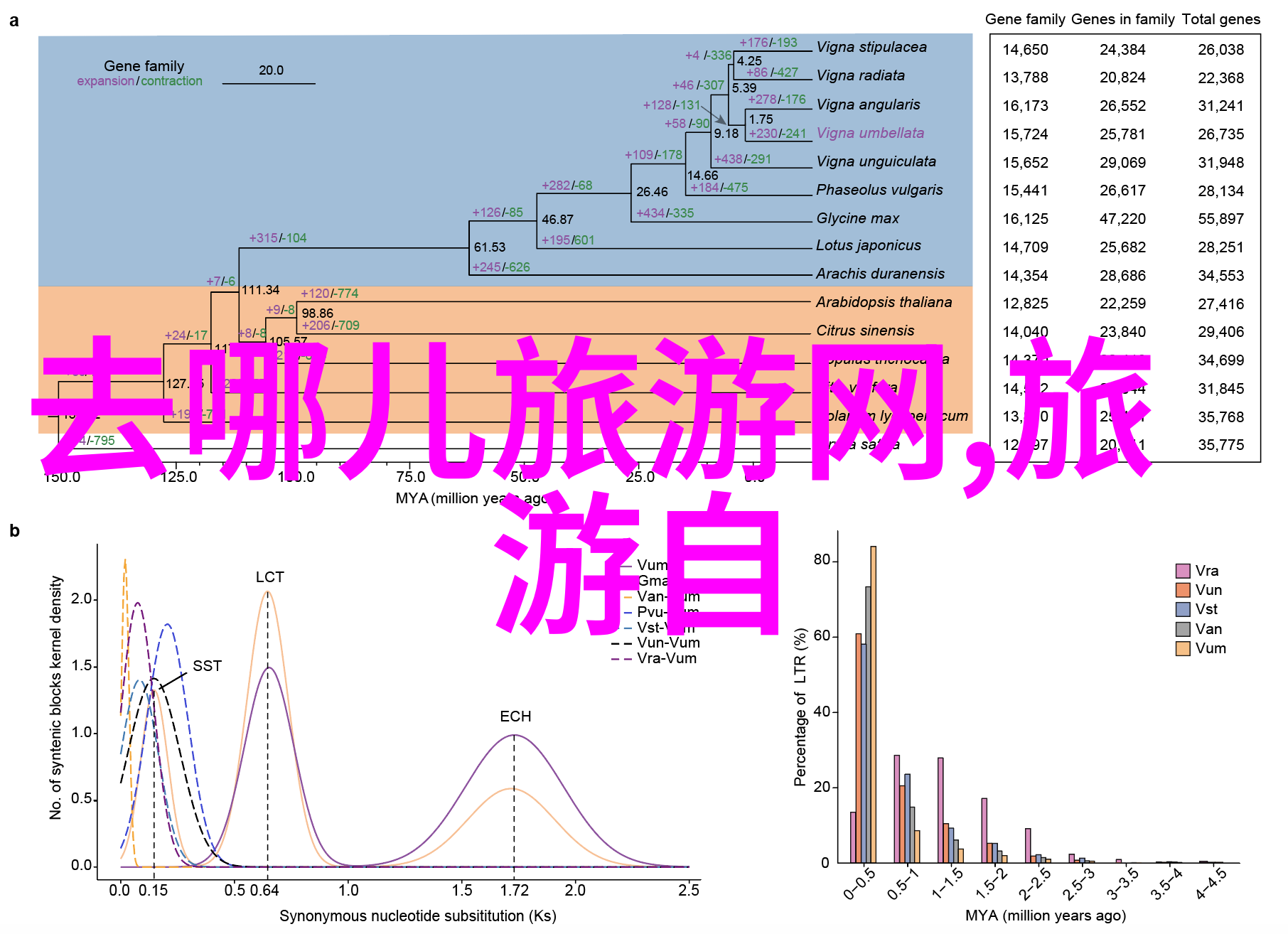 探秘古代旅行家的足迹名家游记中的奇遇与见闻