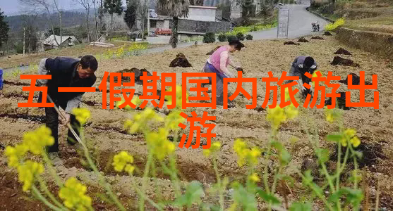 南京小吃风味盛宴Sweet B芒果仙极品蜂蜜芒果干新口味引领休闲零食潮流