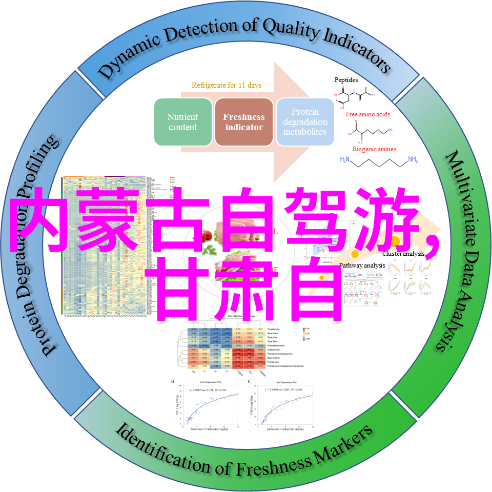 金银花露下的乐可百度全文探秘