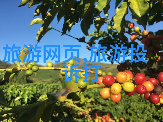 云南旅游攻略云南美食体验昆明花海漫步大理洱海之旅香格里拉雪山探秘