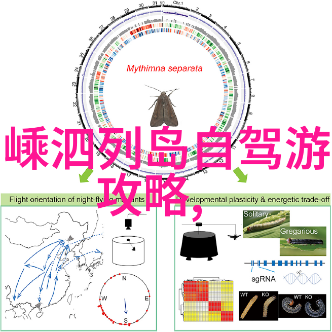 风流在乡村乡土记忆与现代追求的交响