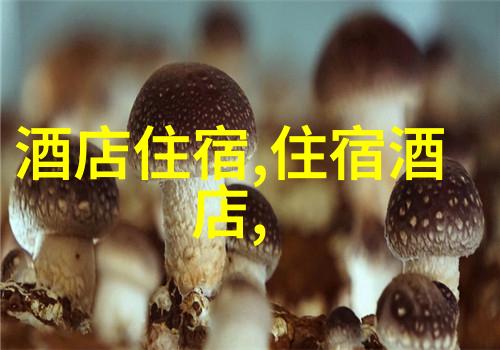 海边山脉城堡探索欧洲自驾游英文词汇宝库