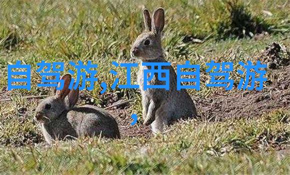 捷安特新篇章2023款车型刷新速度与科技