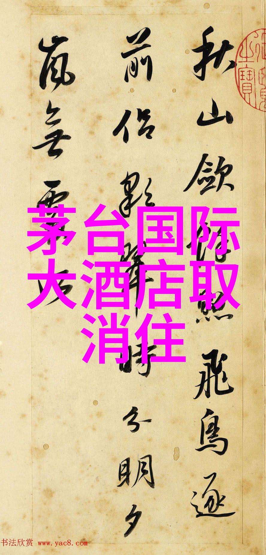 冲刺直线极速骑行4最直的赛道挑战