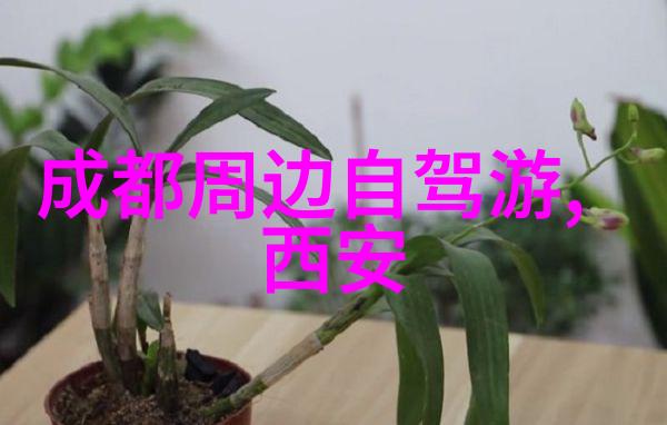 骑自行车对环境有什么积极影响