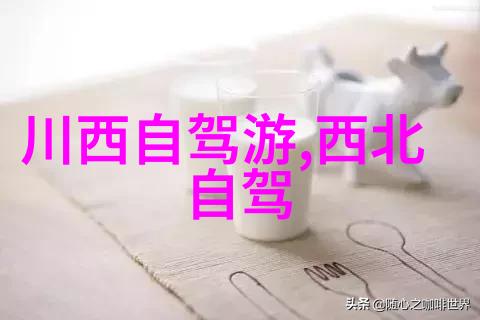 学长教我做题错一题就放一支笔智慧与坚持的故事