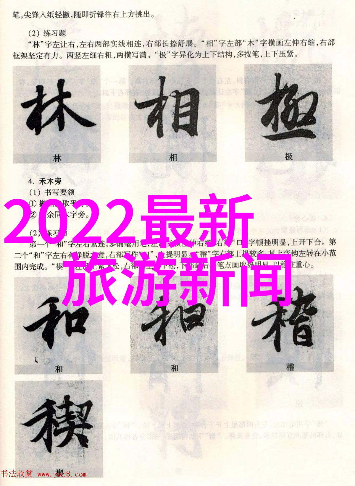 写一篇游记作文800字初二-青春足迹初二生探秘历史古镇