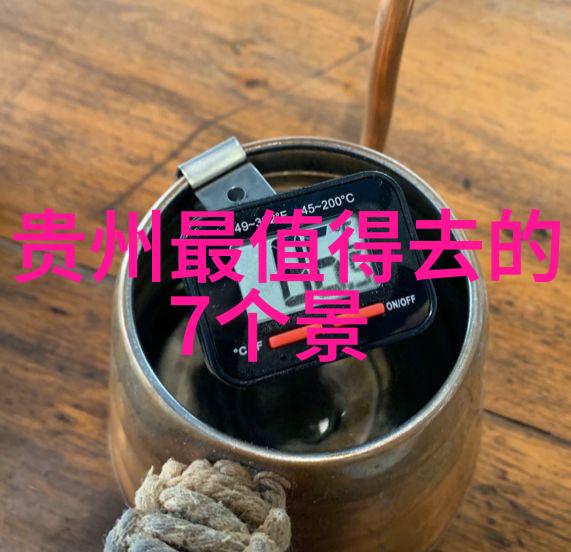 丑仙奇缘网络流行语中的丑仙形象