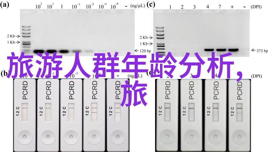 汤山欢乐水世界攻略 附游玩路线