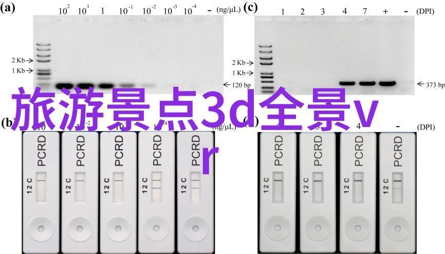 中国古都北京2日自助游探索故宫与798艺术区