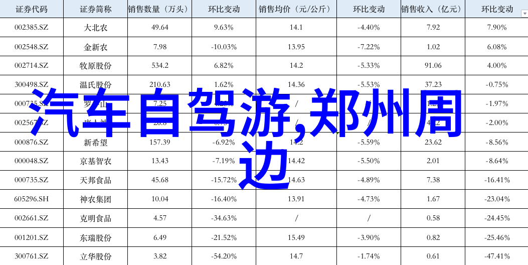 如何有效地规划一次户外团建活动