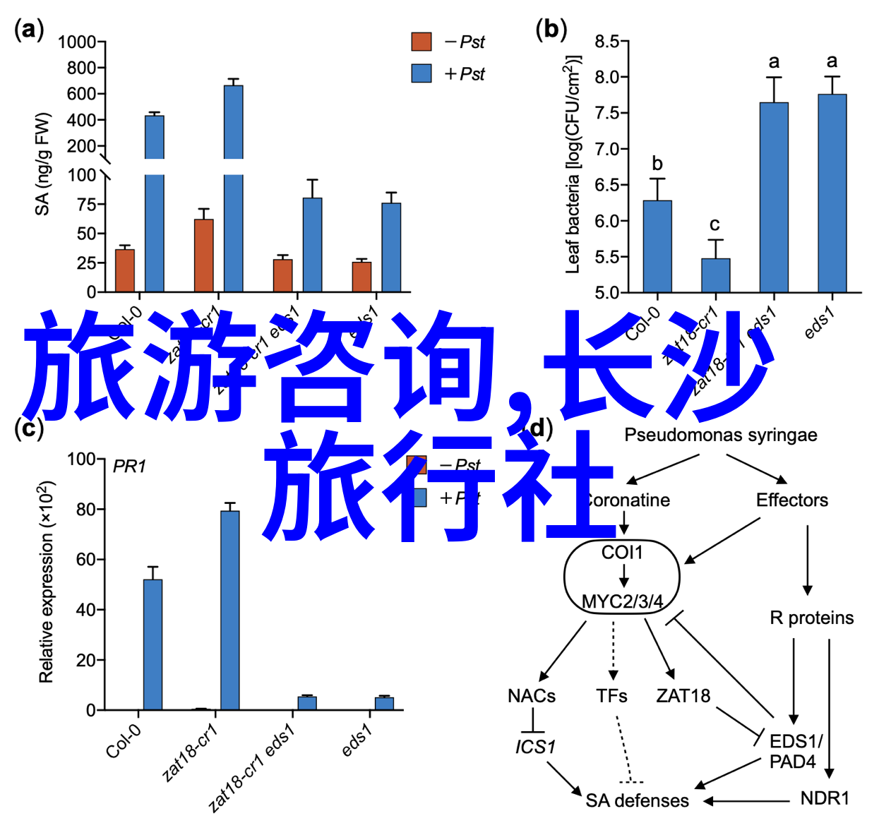 旅行社推荐选择靠谱的当地旅行社