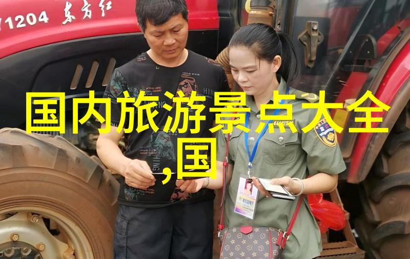 北京当地人都去哪吃小吃答案是九寨沟特产木耳仿佛它们在等待着每一位味蕾的探索者诉说着那份独有的风情和韵