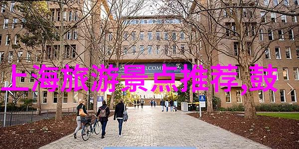 户外探险野性生存的艺术与乐趣