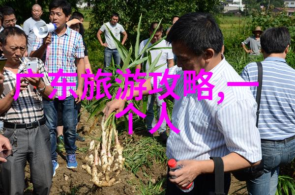 疾风骤雨中的安宁独特视角下的快速骑行体验