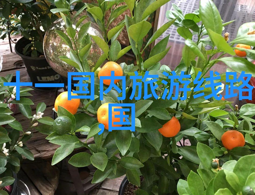 春节团圆剖析我国传统年俗